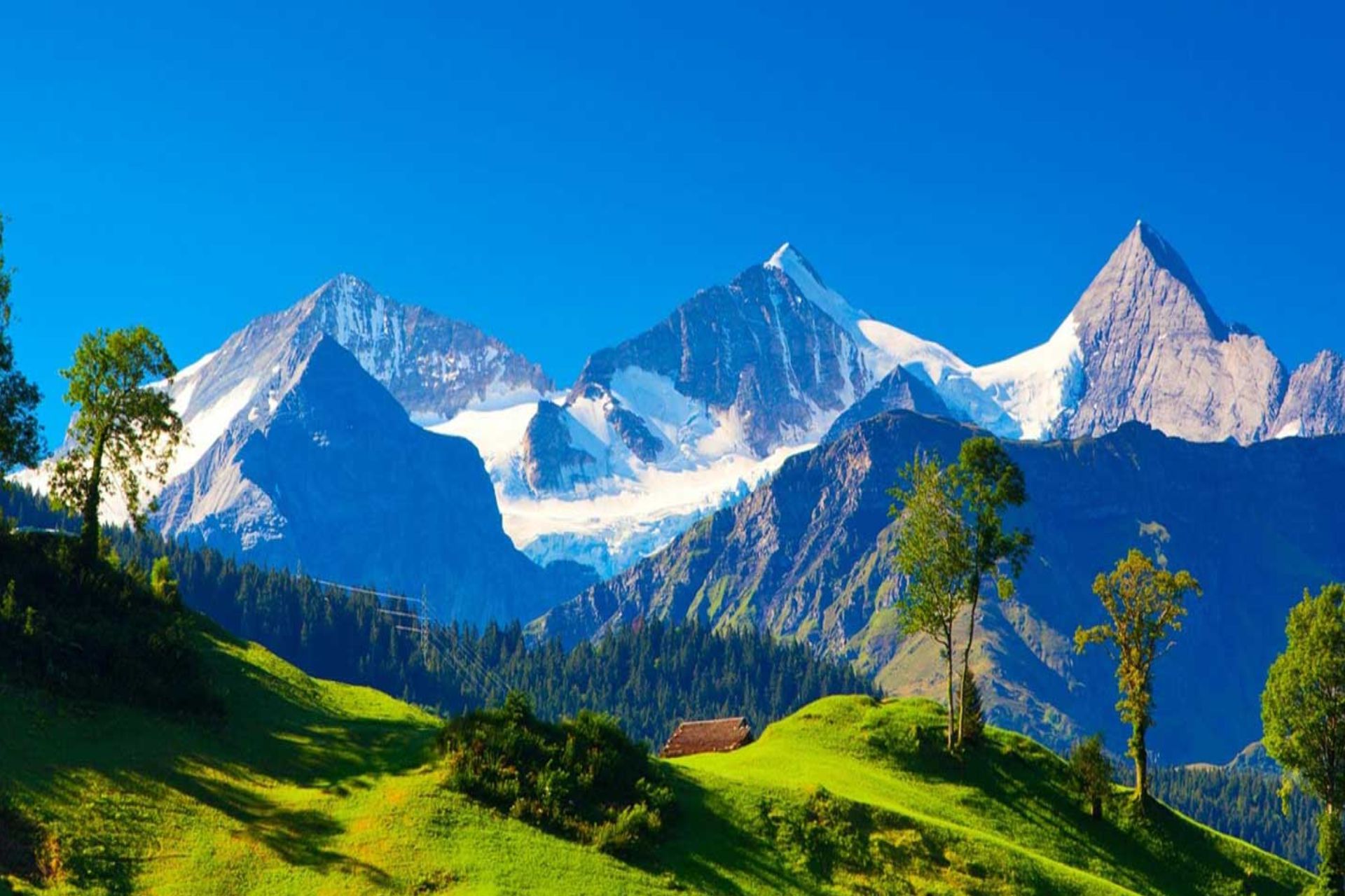 Top 10 Must-Visit Attractions in Sikkim & Darjeeling with Urban Monk Travels
